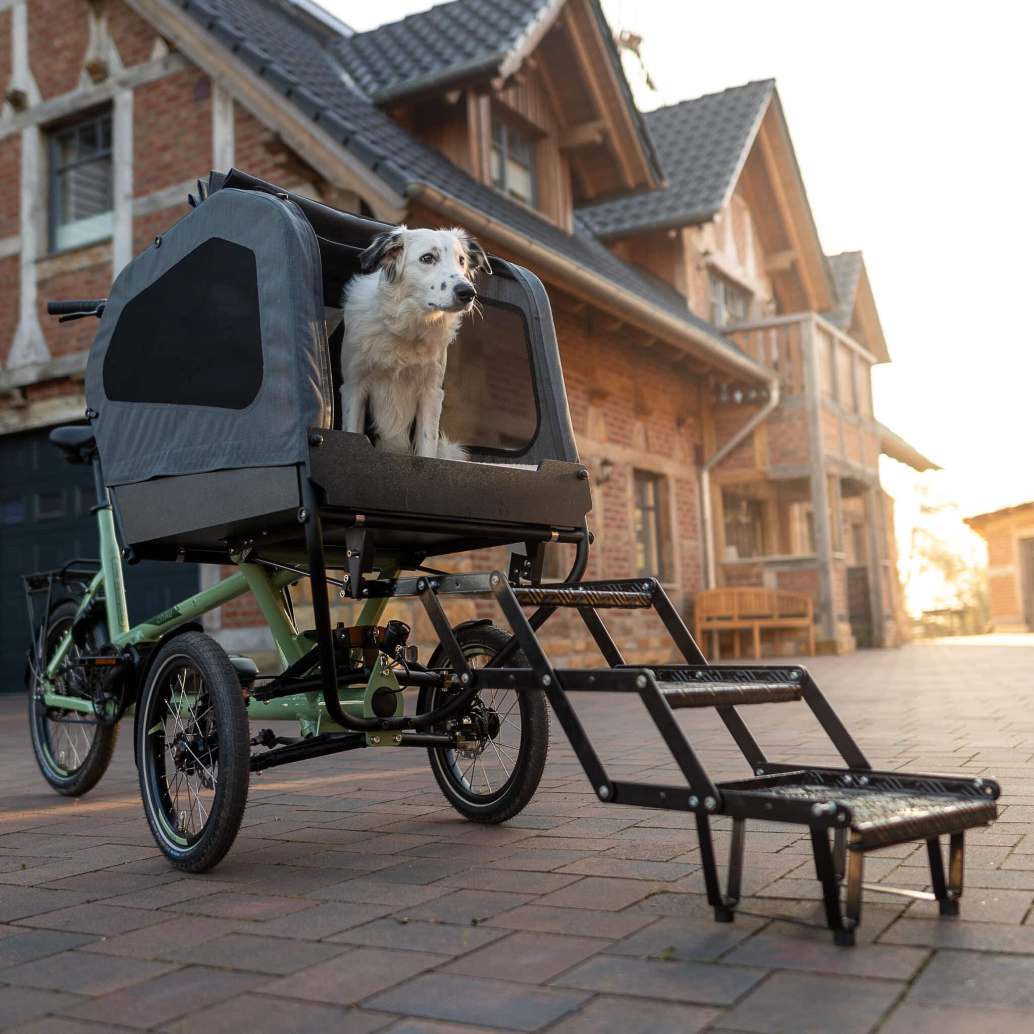 chike e-dog cargobike stairs(10)